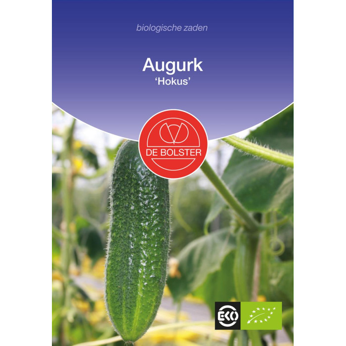 Kornišon-Augurk 'Hokus' Cucumis sativus-BS1030