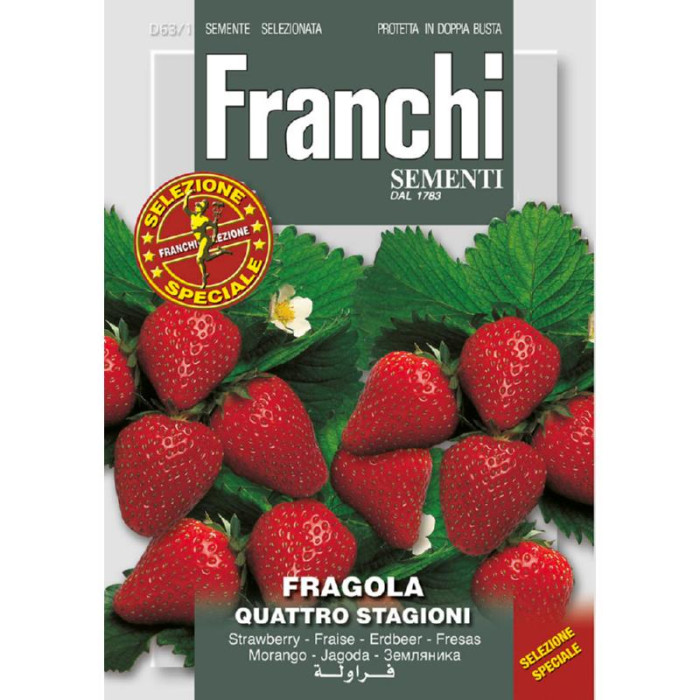 Jagode-4-Godisnja-doba-Fr Aardbei Fragola Quattro stagioni 63/1-FR880592