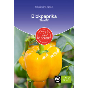 Paprika -zuta-Blokpaprika...