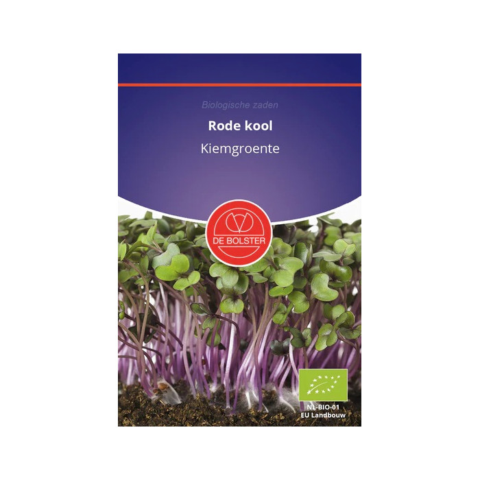Cabbage Red-Rode kool - Kiemgroente Brassica oleracea-HS-0704 9010