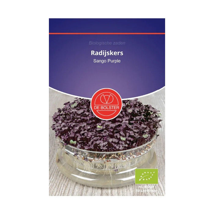 Radish-violet-red-Radijskers 'Sango Purple' Raphanus sativus-HS-0706 9090