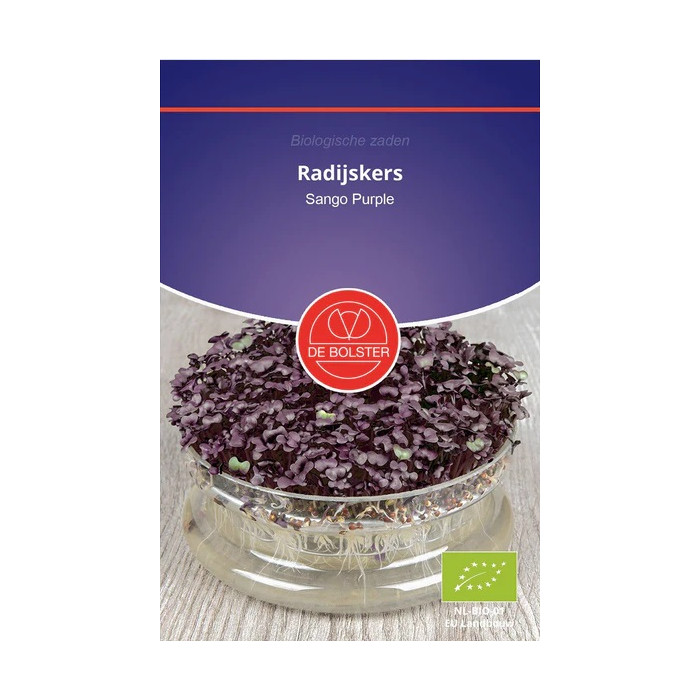 Rettich-violett-rot-Radijskers 'Sango Purple' Raphanus sativus-HS-0706 9090