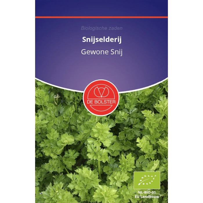 Celery-ordinary-De-Bolster-Snijselderij-Gewone-Snij-BS3260