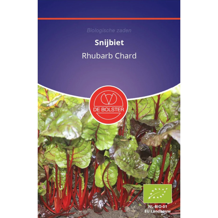 Blitva-crvena-Chard-crvena-De-Bolster-Snijbiet-Rhubarb-Chard-BS1910