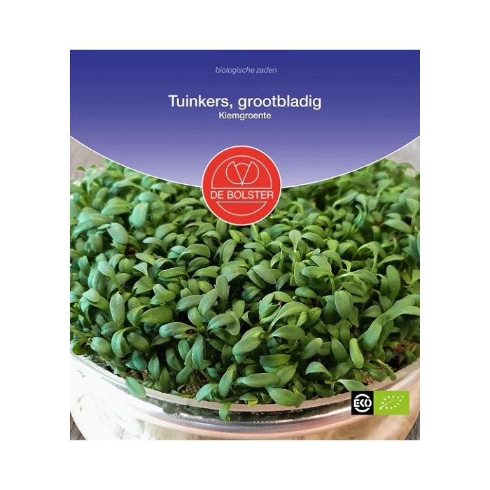Cress salad-large-Tuinkers, grootbladig - Kiemgroente Lepidium sativum-BS9015