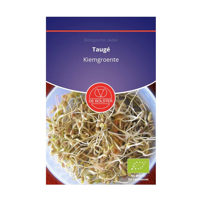 Bean-Taugé – Kiemgroente Vigna radiata-BS9080