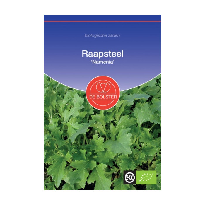 Raap-Raapsteel - Kiemgroente Brassica rapa-HS-1516 2095