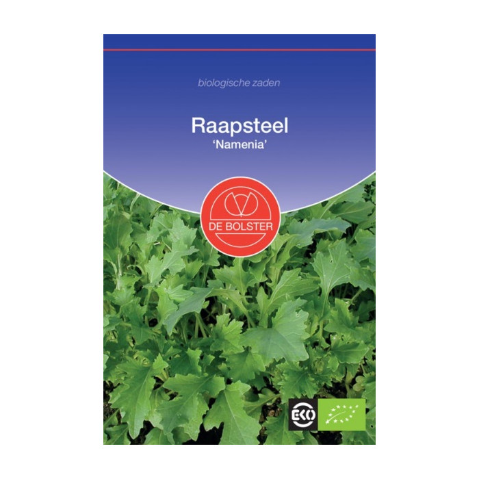 Turnip-Raapsteel - Kiemgroente Brassica rapa-HS-1516 2095