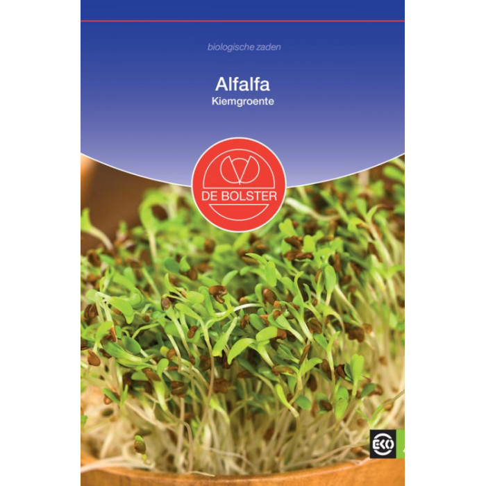 Alfalfa - Sprouting Vegetable Medicago sativa-BS9060