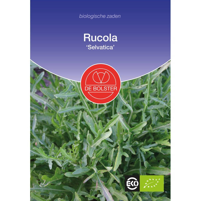 Rucola-Rucola 'Selvatica' Diplotaxis tenuifolia-BS1765