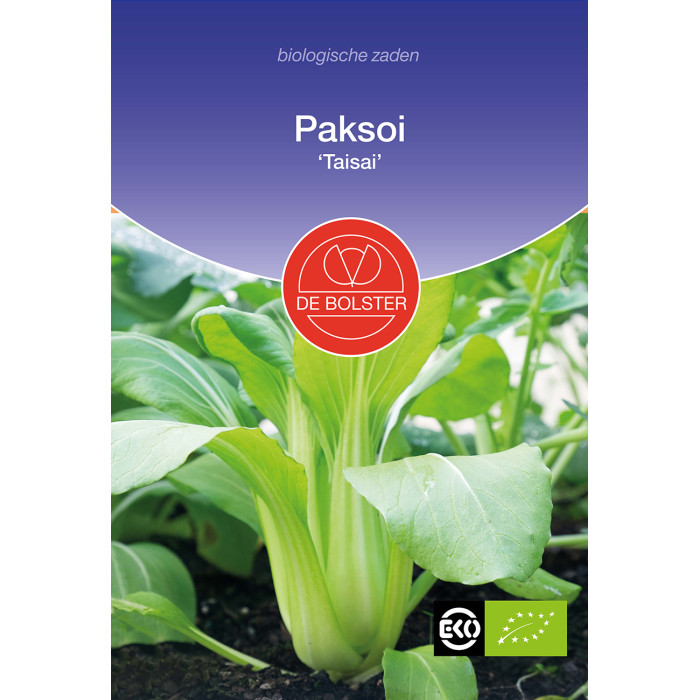 Paksoy-Paksoi „Taisai“ Brassica rapa BS1570