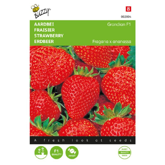 Jagode-Gardian F1-Buzzy® Aardbeien Grandian F1-BZ002004