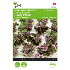 Kelj-Mini-Buzzy®-Kalettes®...