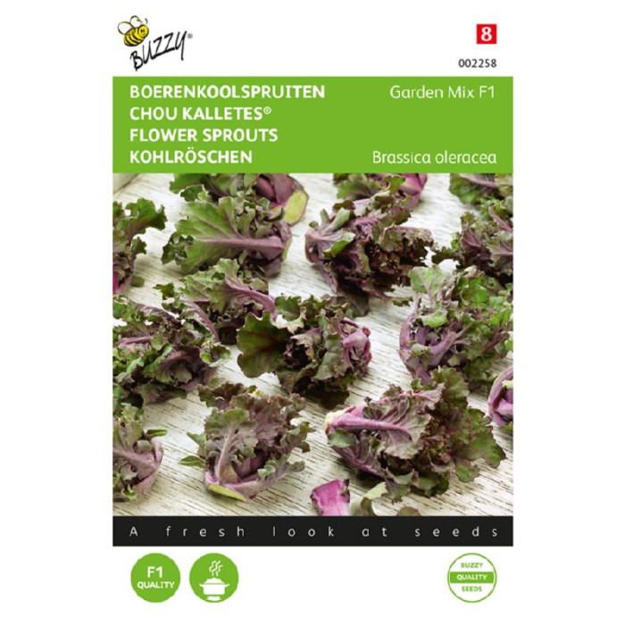 Buzzy® Boerenkoolspruitjes, Kalettes® Garden Mix F1-BZ002258