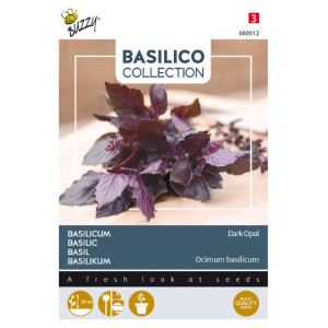 Basilicum-donkerrood-Basili...