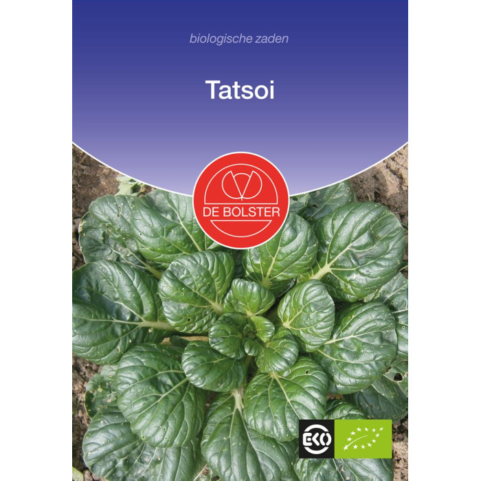 Tatsoj-Tatsoi Brassica rapa-BS1572