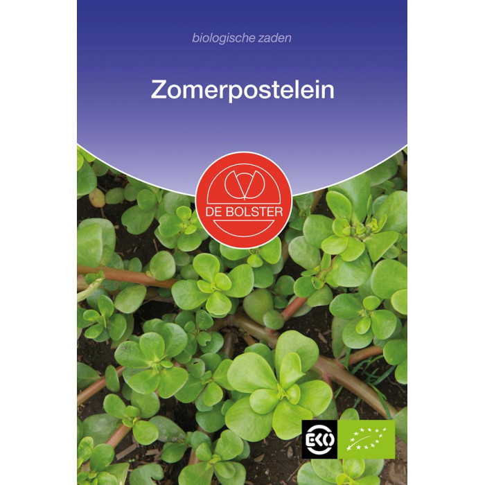 Tušt (Portulak) – Sommerportulak Portulaca oleracea-BS2040