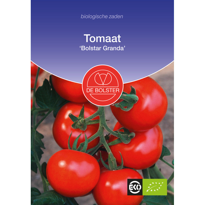 Tomaat-Tomaat 'Bolstar Granda' Solanum lycopersicum-BS1945