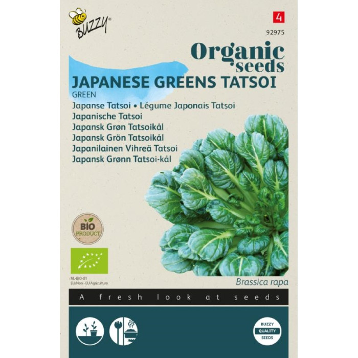 Tatsoj-Japanski-Tatsoi (BIO)-BZO92975